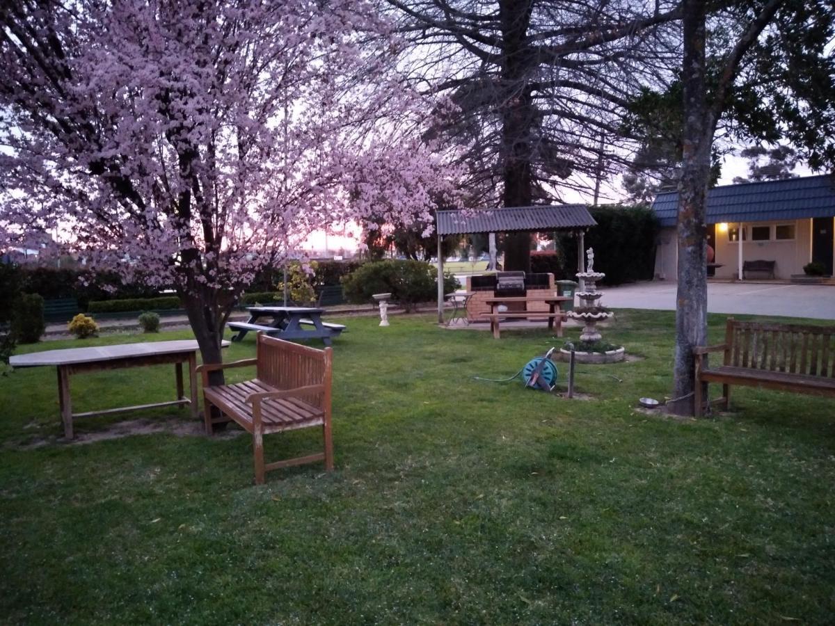 Motel Park And Wagga Wagga